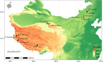 Elucidation of the evolutionary history of Stipa in China using comparative transcriptomic analysis